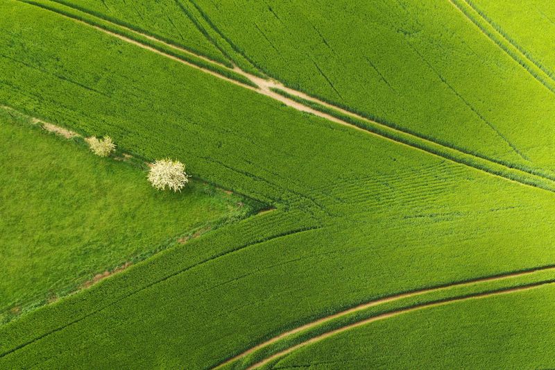 &copy; Reuters. FILE PHOTO: An aerial view shows a green barley field in Bonavis, France, May 26, 2021. REUTERS/Pascal Rossignol