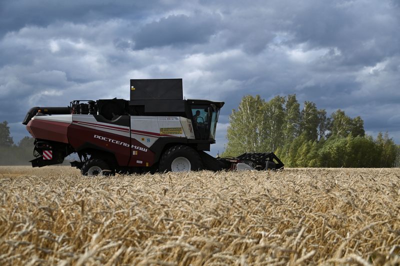 &copy; Reuters. A combine harvests wheat in a field of Triticum farm in Omsk region, Russia September 16, 2020. Picture taken September 16, 2020.  REUTERS/Alexey Malgavko
