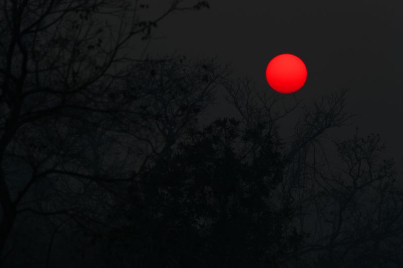 &copy; Reuters. The sun rises above smoke from the burnt trees and vegetation in The Pantanal, the world's largest wetland, in Pocone, Mato Grosso state, Brazil, August 29, 2020. Picture taken August 29, 2020. REUTERS/Amanda Perobelli
