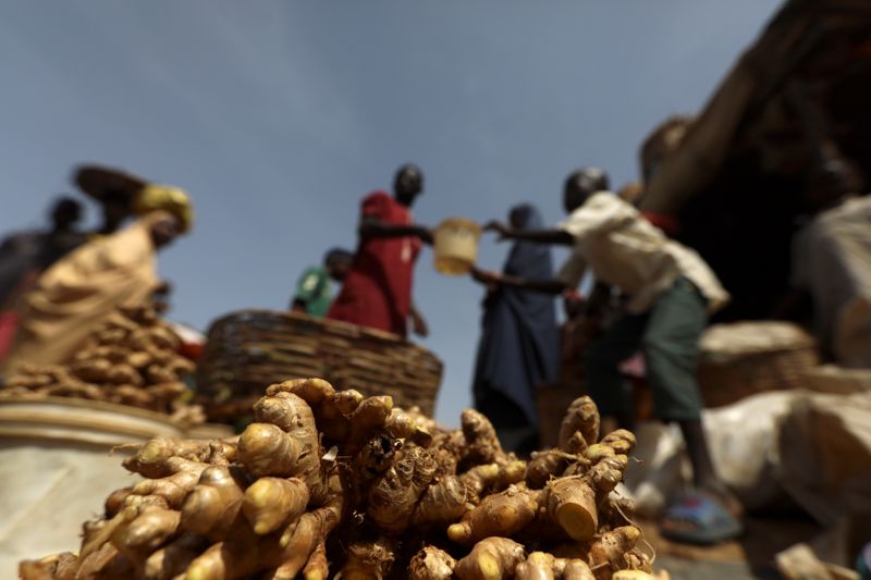 &copy; Reuters. Freshly washed ginger plant bulbs are seen at a market in Kaduna, Nigeria. April 30, 2021. Picture taken April 30, 2021. REUTERS/Afolabi Sotunde