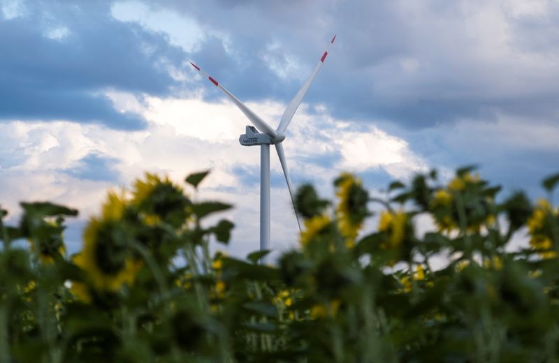 &copy; Reuters. A wind turbine is seen through sunflowers during sunset outside Ulyanovsk, Russia July 20, 2020. Picture taken July 20, 2020. REUTERS/Maxim Shemetov