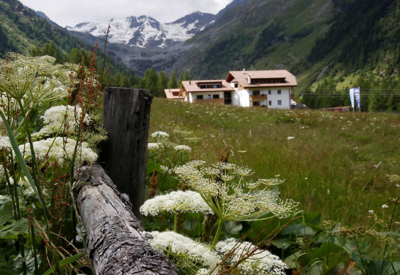 &copy; Reuters. FILE PHOTO: Flowers are seen in front of the Ortler Group mountains in the northern Italian village of Sulden, in Alto Adige (South Tyrol) province in July 11, 2012/File Photo