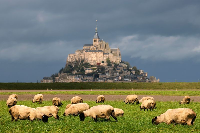 &copy; Reuters. Le gouvernement a dévoilé vendredi trois listes de pays, avec des codes couleur, pour l'entrée des ressortissants étrangers en France à compter du 9 juin dans le cadre de l'assouplissement des restrictions liées à l'épidémie de COVID-19. /Photo d