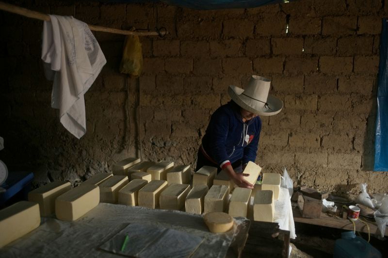 &copy; Reuters. Luceli Banda Medina, a former student of Peru's presidential candidate Pedro Castillo, arranges blocks of cheese that she and her family made at home, in Puna, Peru June 3, 2021. Picture taken June 3, 2021. REUTERS/Alessandro Cinque