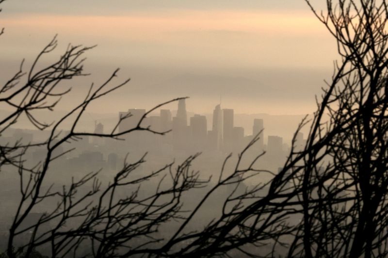 &copy; Reuters. FILE PHOTO: Downtown Los Angeles is seen behind a tree burned by wildfire before expected heavy rains, as the coronavirus disease (COVID-19) continues, in Los Angeles, California, U.S., January 28, 2021. REUTERS/Lucy Nicholson
