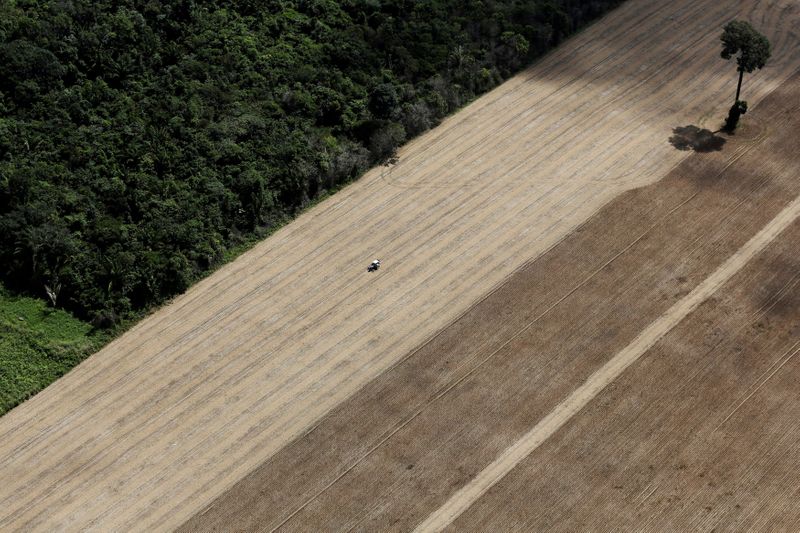 &copy; Reuters. Trator trabalha em plantação de trigo em Santarém, no Pará, Brasil. 
20/04/2013
REUTERS/Nacho Doce