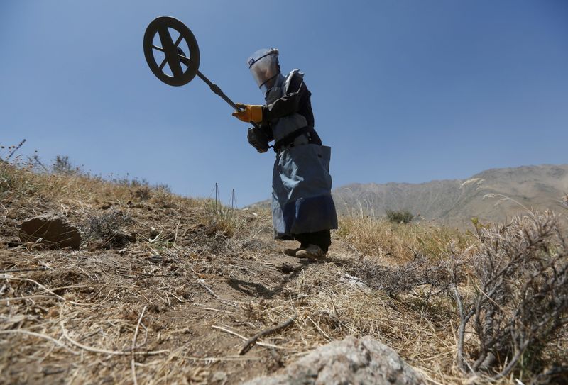 © Reuters. أحد افراد منظمة إزالة ألغام يجهز الكاشف المعندي قبل البحث عن ذخائر لم تنفجر  في اقليم باروان بأفغانستان في صورة من أرشيف رويترز.