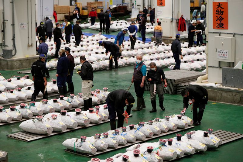 &copy; Reuters. FILE PHOTO: Wholesalers check the quality of frozen tuna displayed during the tuna auctions, amid the coronavirus disease (COVID-19) outbreak, at Toyosu fish market in Tokyo, Japan  August 25, 2020. REUTERS/Issei Kato