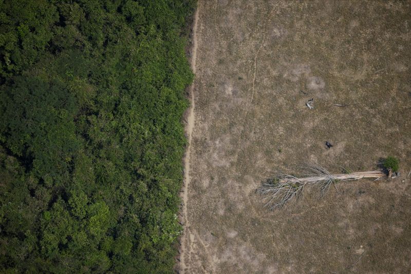&copy; Reuters. Área desmatada da Amazônia perto de Porto Velho, em Rondônia
14/08/2020 REUTERS/Ueslei Marcelino
