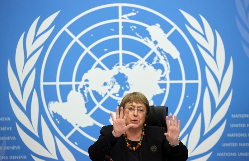 &copy; Reuters. مفوضة الأمم المتحدة لحقوق الإنسان ميشيل باشليت تتحدث في جنيف يوم التاسع من ديسمبر كانون الأول 2020. تصوير: دينيس باليبوس - رويترز.