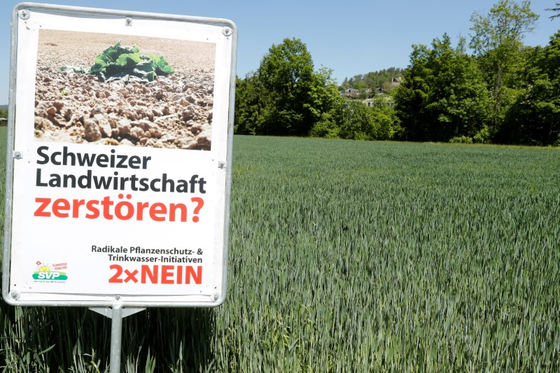 &copy; Reuters. FILE PHOTO: A poster demanding: "Destroy Swiss Agriculture? Radical plant protection & drinkwater initiatives - 2 x No" is placed in front of a field near Aesch, Switzerland June 1 2021. Reuters/Arnd Wiegmann/File Photo