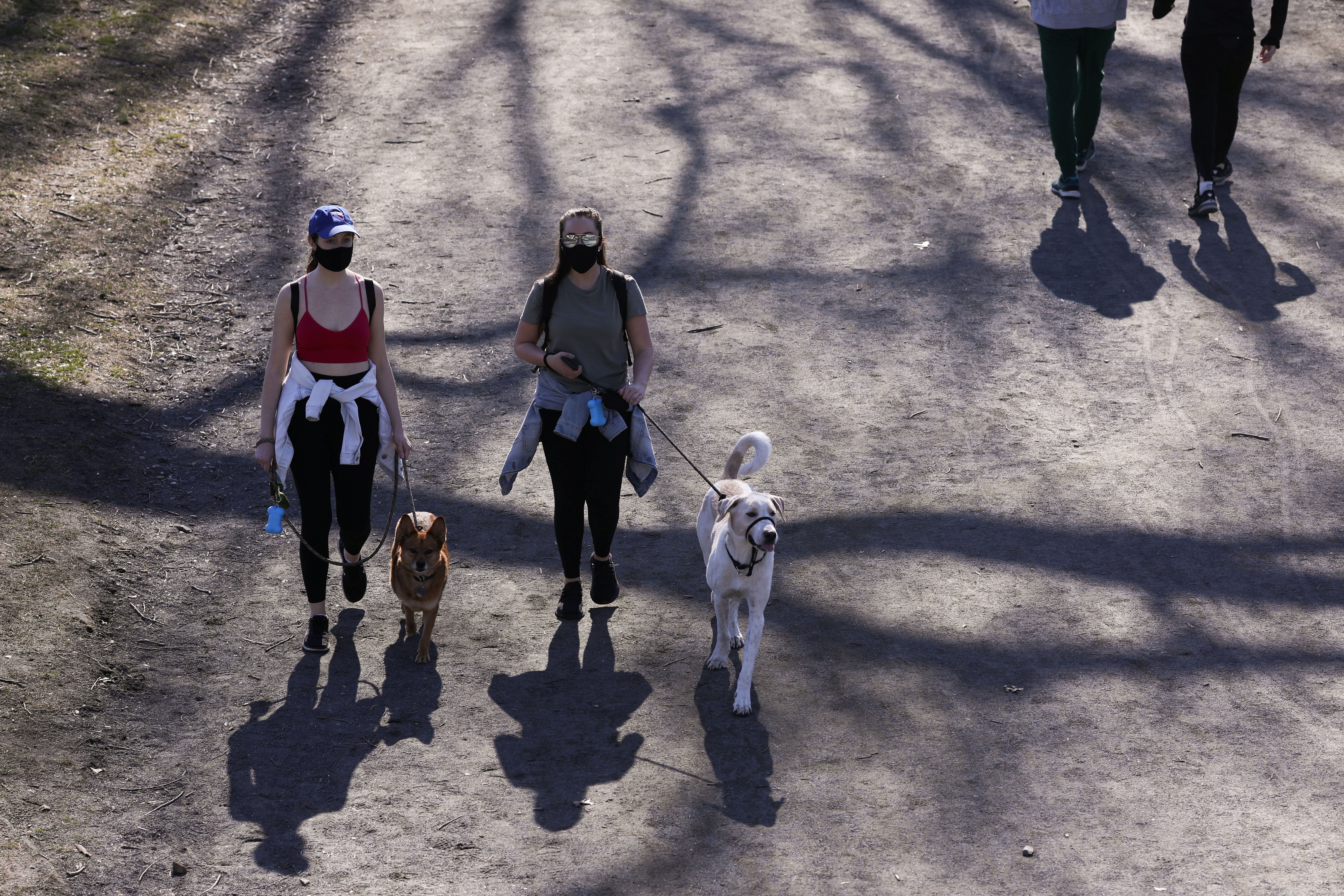 &copy; Reuters. FILE PHOTO: People walk their dogs through Central Park on spring equinox, in the Manhattan borough of New York City, New York, U.S., March 20, 2021. REUTERS/Caitlin Ochs