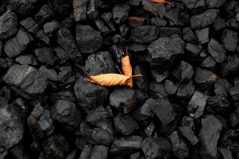 &copy; Reuters. FILE PHOTO: A leaf sits on top of a pile of coal in Youngstown, Ohio, U.S., September 30, 2020. REUTERS/Shannon Stapleton/File Photo