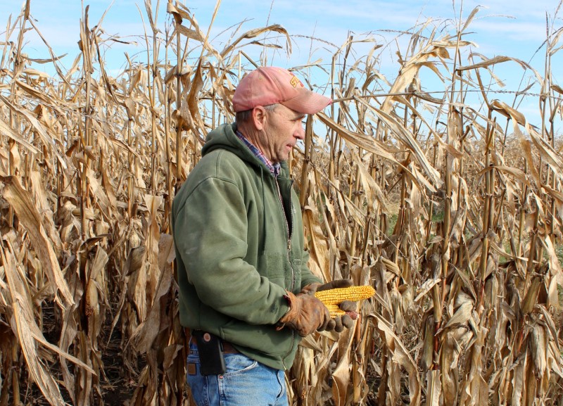 &copy; Reuters. FILE PHOTO: Corn and soybean farmer Don Swanson prepares to harvest his corn crop in Eldon, Iowa U.S. October 4, 2019.  REUTERS/Kia Johnson