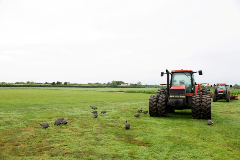 © Reuters. FILE PHOTO: Farming equipment is seen on Foster Farm in Sagaponack, on New York's Long Island, U.S., July 8, 2019. Picture taken July 8, 2019.   REUTERS/Lindsay Morris