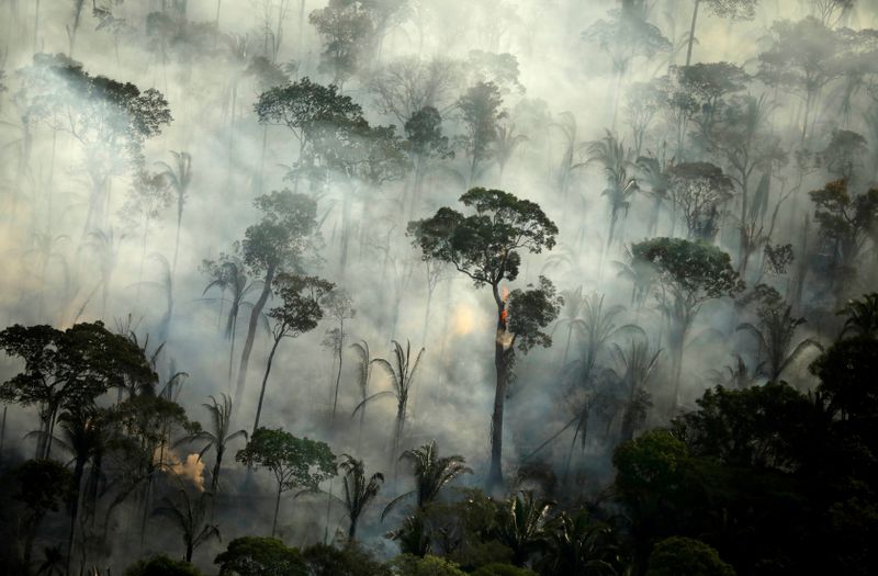 &copy; Reuters. Floresta Amazônica incendiada perto de Porto Velho
 10/9/2019   REUTERS/Bruno Kelly