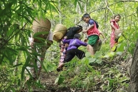 &copy; Reuters. نازحون داخليا من ميانمار يعيشون في غابات بولاية كايا في صورة التُقطت يوم 26 مايو أيار 2021. صورة لرويترز.