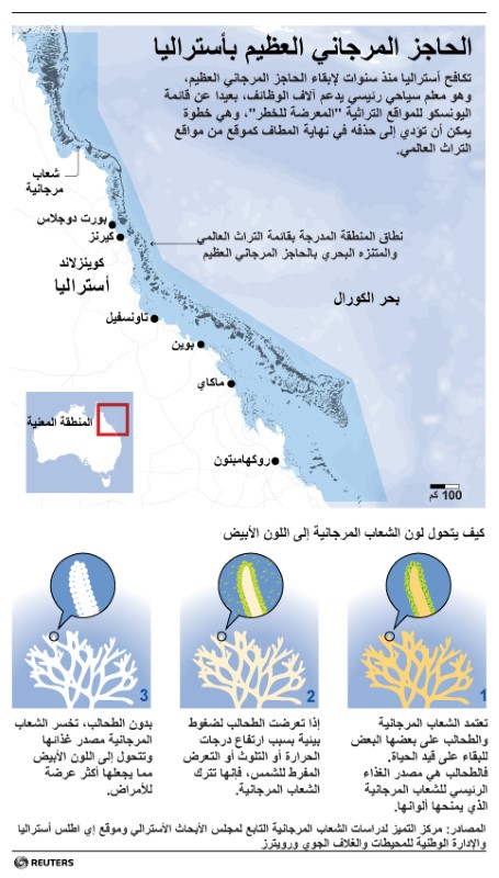 © Reuters. رسم توضيحي لنطاق الحاجز المرجاني العظيم بأستراليا.