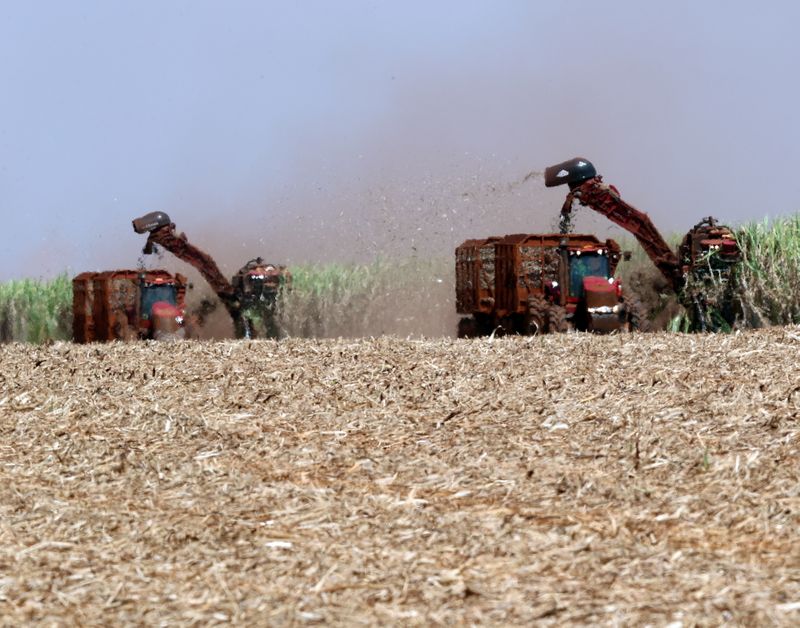 &copy; Reuters. Foto de archivo de cosechadoras en un campo de azúcar en Sao Martinho, Brasil. 
Sep 13, 2018. REUTERS/Paulo Whitaker/
