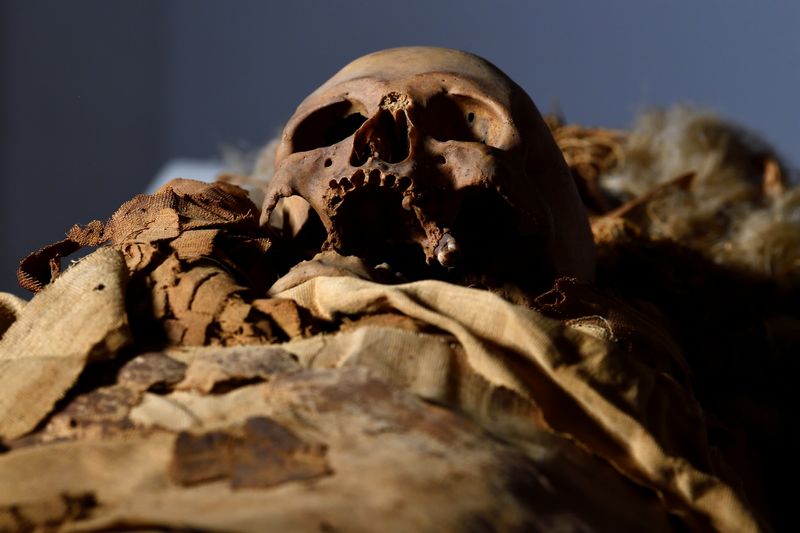 &copy; Reuters. The skull of an Egyptian mummy is seen in the Civic Archaeological Museum of Bergamo, Italy, June 21, 2021. Picture taken June 21, 2021. REUTERS/Flavio Lo Scalzo