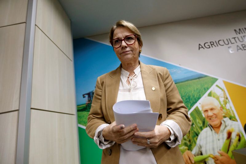 © Reuters. Tereza Cristina, ministra da Agricultura 
03/07/2019
REUTERS/Adriano Machado