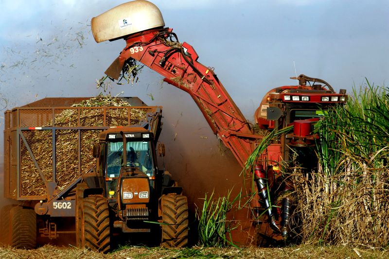 &copy; Reuters. Colheita de cana-de-açúcar em Sertãozinho (SP) 
21/04/2007
REUTERS/Paulo Whitaker 
