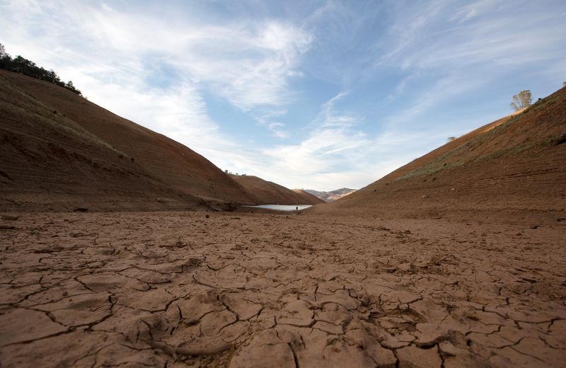 &copy; Reuters. FILE PHOTO: Dry land is visible, at a section that is normally under water, on the banks of Lake Oroville, which is the second largest reservoir in California and according to daily reports of the state's Department of Water Resources is near 35% capacity