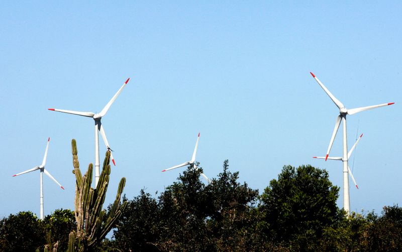 &copy; Reuters. Parque de energia eólica em Osório (RS) 
30/11/2007
REUTERS/Jamil Bittar 