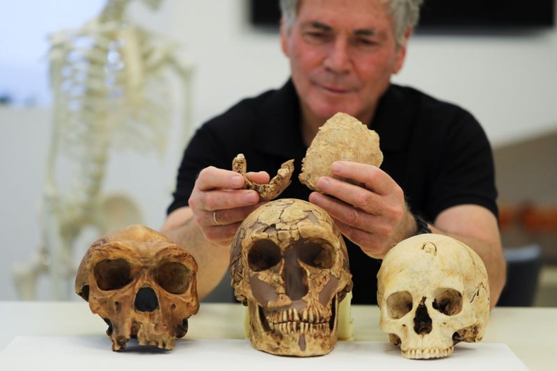 &copy; Reuters. Tel Aviv University Professor Israel Hershkovitz, holds what scientists say are two pieces of fossilised bone of a previously unknown kind of early human discovered at the Nesher Ramla site in central Israel, during an interview with Reuters at The Steinh