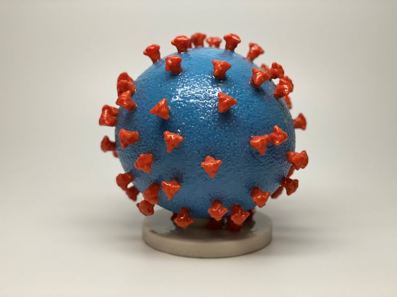&copy; Reuters. Modelo 3D do Sars-Cov-2
19/03/2020
NIH/Divulgação via REUTERS