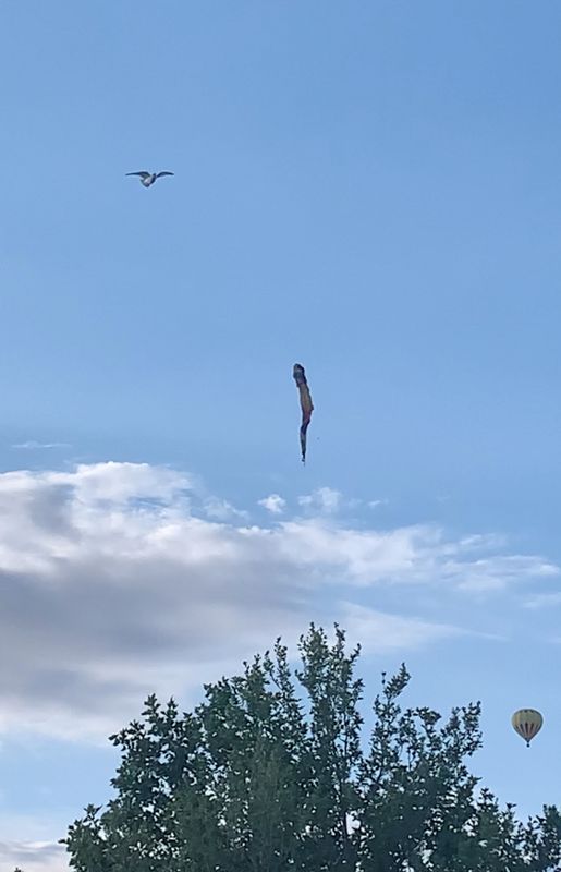 © Reuters. المنطاد لدى سقوطه من السماء في ألباكركي بولاية نيو مكسيكو يوم السبت. صورة حصلت عليها رويترز من وسائل التواصل الاجتماعي. (يحظر إعادة بيع الصورة أو الاحتفاظ بها في الأرشيف.) 