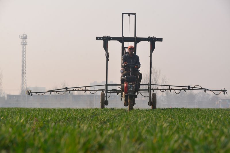 © Reuters. Produtor espalhando pesticidas em campo de trigo na província de Hebei, na China.
18/03/2019 
REUTERS/Stringer