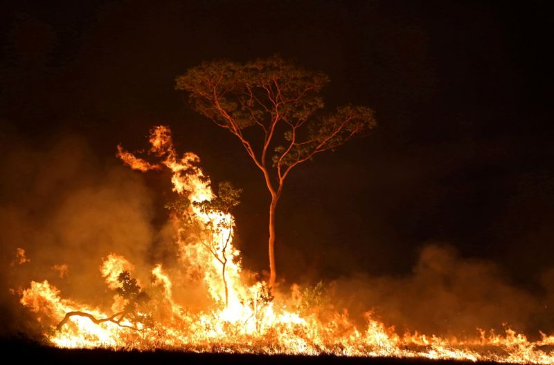 &copy; Reuters. Incêndio em terra indígena no Estado do Amazonas
15/09/2019 REUTERS/Bruno Kelly