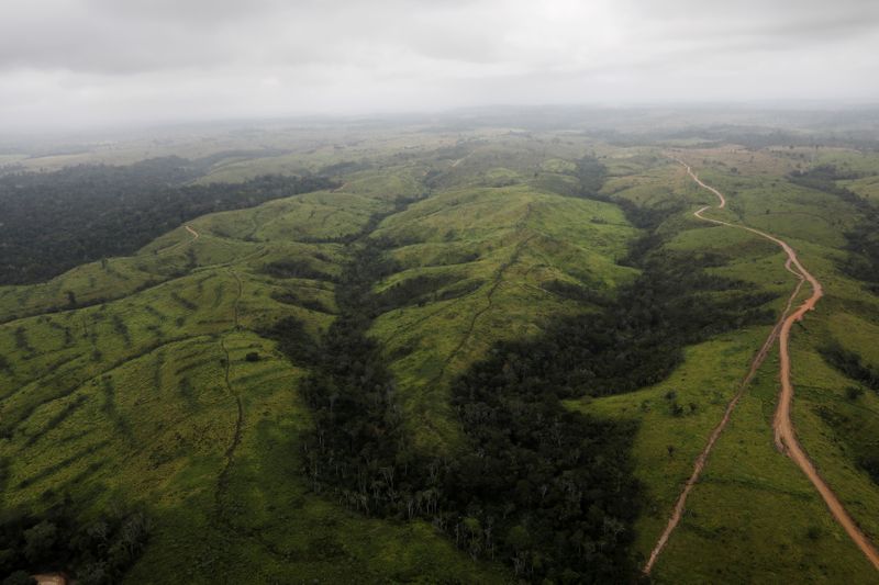 &copy; Reuters. Imagen de archivo de una vista aérea que muestra un área deforestada en la selva amazónica, cerca de Altamira, estado de Pará, Brasil. 11 de septiembre, 2019. REUTERS/Nacho Doce/Archivo
