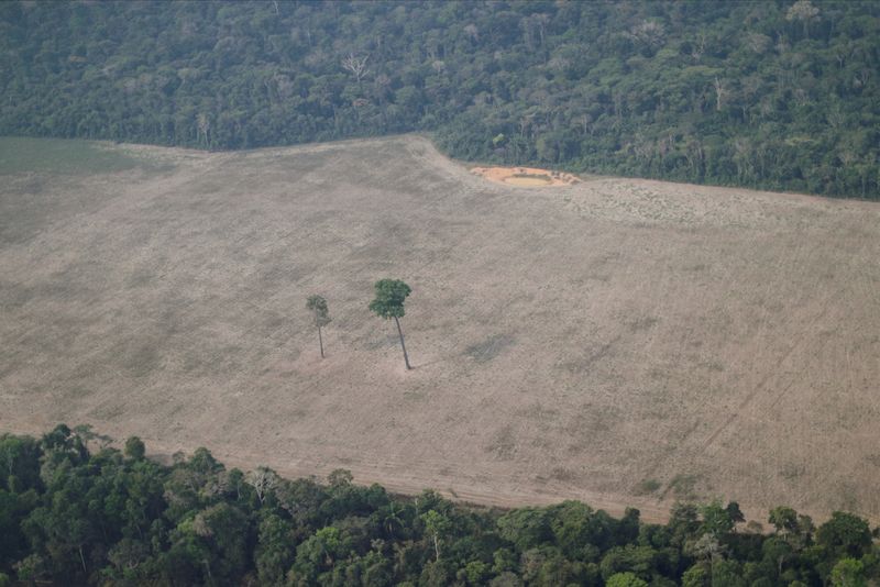 © Reuters. Floresta desmatada em Porto Velho, Rondônia, Brasil.
14/08/2020 
REUTERS/Ueslei Marcelino