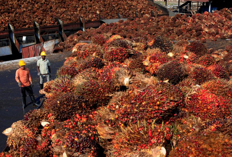 &copy; Reuters. FILE PHOTO: Workers stand near palm oil fruits inside a palm oil factory in Sepang, outside Kuala Lumpur, February 18, 2014. REUTERS/Samsul Said/File Photo