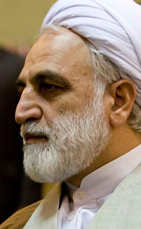 &copy; Reuters. رجل الدين الإيراني غلام حسين محسني إيجي في صورة من أرشيف رويترز.