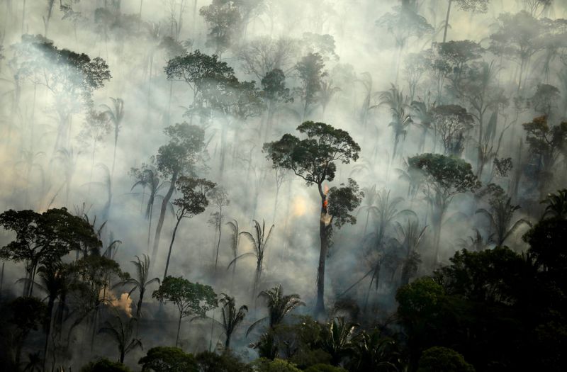 &copy; Reuters. La forêt amazonienne brésilienne a subi en juin son plus grand nombre d'incendies depuis 14 ans, selon des données gouvernementales publiées jeudi, la sécheresse qui sévit dans la région risquant d'intensifier les feux dans les mois à venir. /Phot