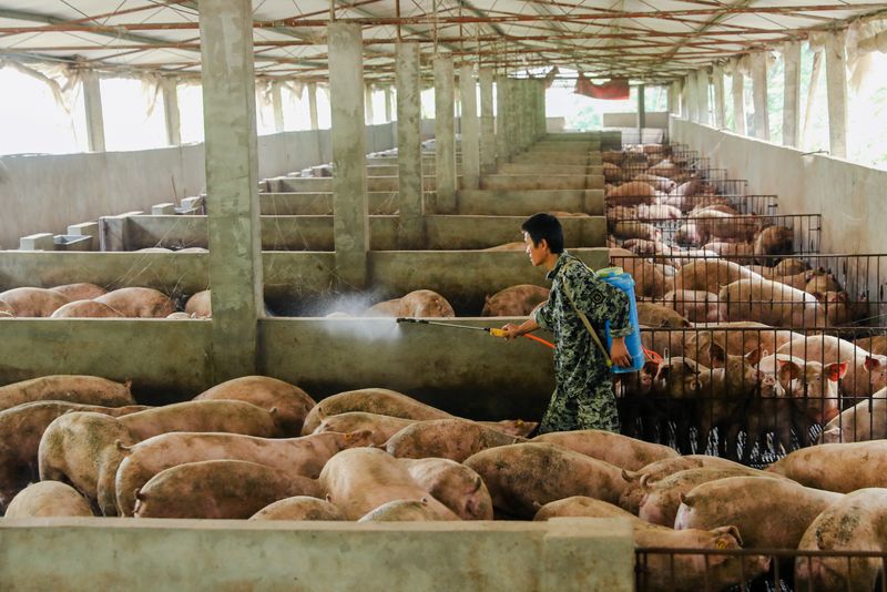 &copy; Reuters. Criação de suínos em Guangan, China 
27/08/2019
REUTERS/Stringer 