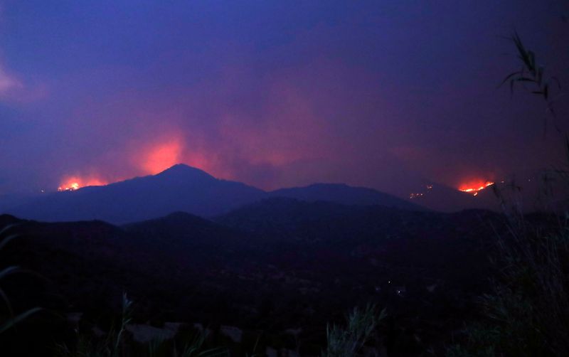 &copy; Reuters. A general view of a wildfire in the Larnaca mountain region, Cyprus July 3, 2021. Picture taken July 3, 2021. REUTERS/George Christophorou 