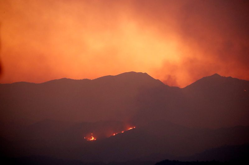 © Reuters. 　キプロスで７月３日、大規模森林火災が発生し、４日になって４人の遺体が発見された。当局者らは、史上最悪レベルとしている。写真はキプロスのラルナカの山間部で広がる火災（２０２１年　ロイター/George Christophorou）