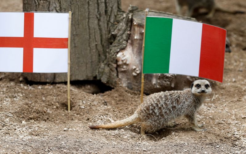 &copy; Reuters. A meerkat plays alongside England and Italy flags, ahead of the Euro 2020 final, at ZSL London Zoo, in London, Britain, July 8, 2021.  Picture taken July 8, 2021. REUTERS/Peter Nicholls