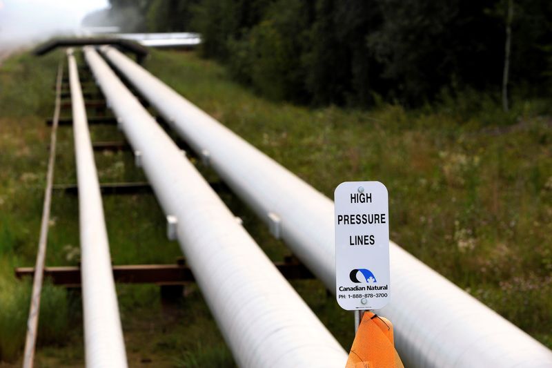 &copy; Reuters. FILE PHOTO: Pipelines at Canadian Natural Resources Limited's (CNRL) Primrose Lake oil sands project are seen near Cold Lake, Alberta August 8, 2013.    REUTERS/Dan Riedlhuber