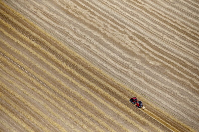 &copy; Reuters. FILE PHOTO: An aerial view shows a French farmer in his tractor making bales of straw after wheat harvest in his field in Coquelles near Calais, northern France, July 21, 2015. REUTERS/Pascal Rossignol 