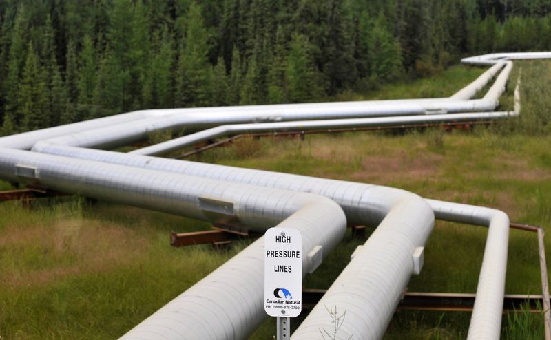 &copy; Reuters. Pipelines at Canadian Natural Resources Limited's (CNRL) Primrose Lake oil sands project are seen near Cold Lake, Alberta August 8, 2013.   REUTERS/Dan Riedlhuber   