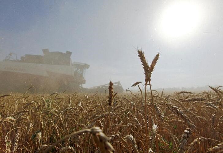 Rusia suspenderá las exportaciones de granos a la Unión Económica Euroasiática hasta el 31 de agosto