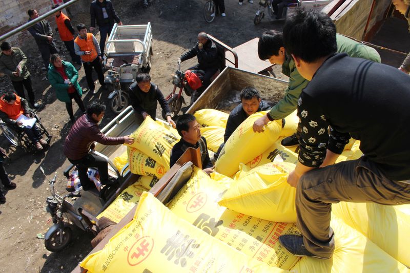 &copy; Reuters. Trabalhadores carregam sacas de fertilizantes em Nangong
26/02/2016
REUTERS/Stringer