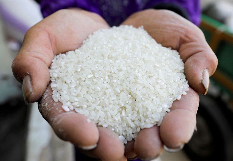 &copy; Reuters. FILE PHOTO: A farmer shows rice grains after harvesting them from a field in the province of Al-Sharkia, northeast of Cairo, Egypt, September 21, 2021. REUTERS/Mohamed Abd El Ghany