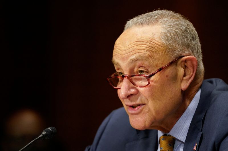 &copy; Reuters. FILE PHOTO: U.S. Senate Majority Leader Chuck Schumer (D-NY) speaks on behalf of Nina Morrison, nominated to be U.S. District Judge for the Eastern District of New York, before a U.S. Senate Judiciary Committee hearing on Capitol Hill in Washington, U.S. 