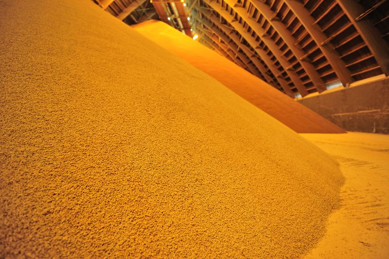 Nutrien to increase potash production amid Eastern Europe supply worries
